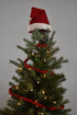 24 piece set - Iconic Christmas Mini Tabletop Tree Set - in Hand Felted Wool - ARCADIA HOME